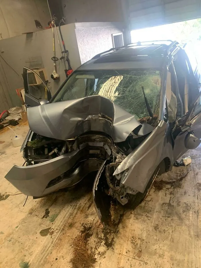 Result Of My Mother's Drunk Driving