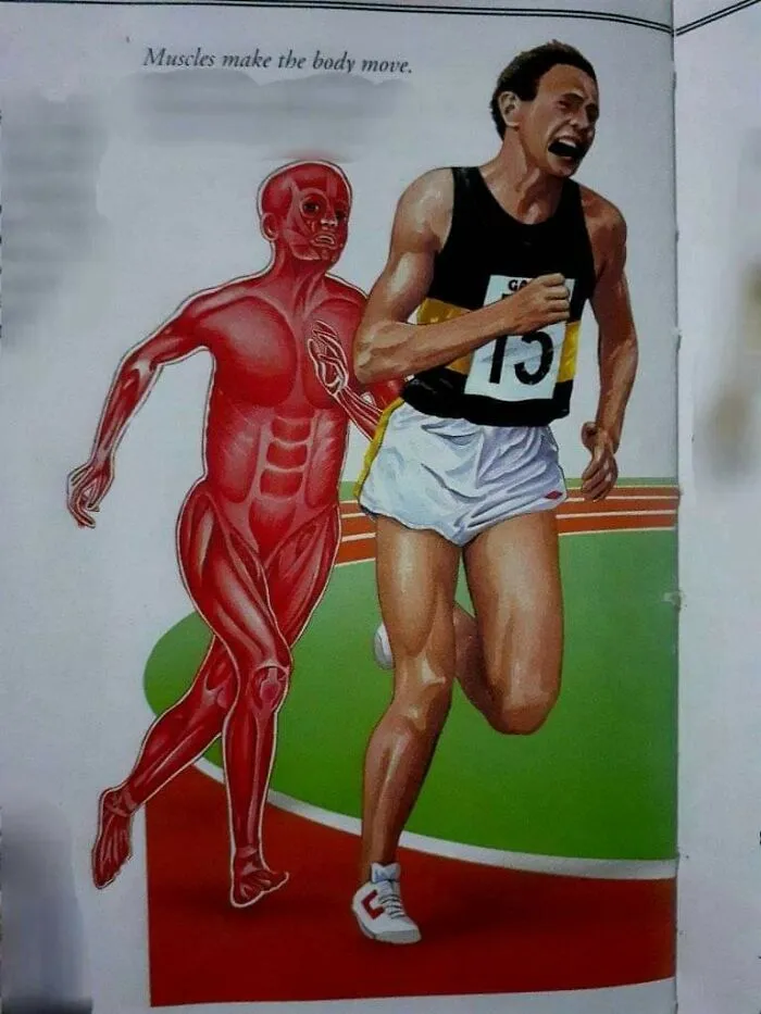 Muscle Man