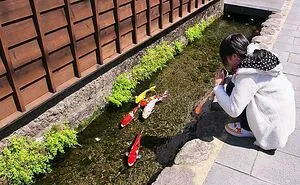 50 Facts That Prove Japan Is Unlike Any Other Country (New Pics)