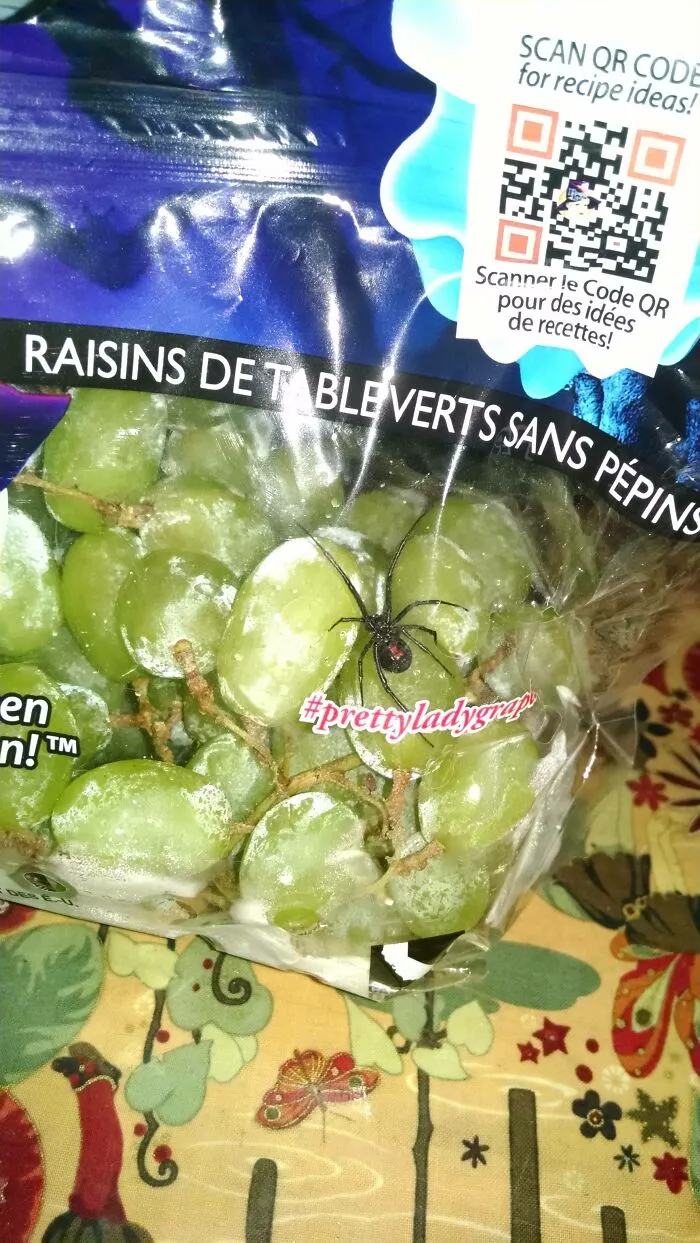 They May Be Sans Pepins But They Ain't Sans Spider