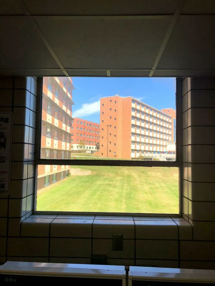 View From The Laundry Room Looks Fake
