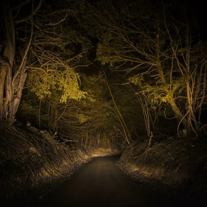 Don't Turn The Corner