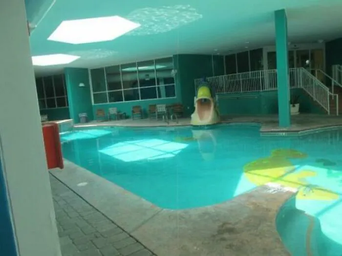 A Nice Place To Make A Best Friend That You'll Never See Again