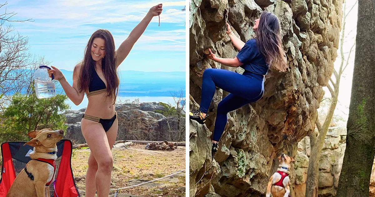 Este perro callejero siguió a esta chica mientras estaba de excursión, y al final lo adoptó (21 fotos)