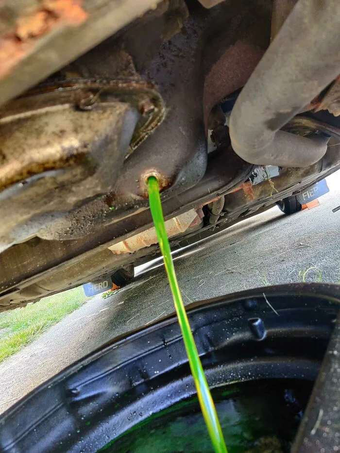 On Today's Episode Of That's F**ked Up