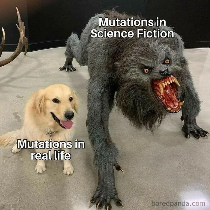 50 Of The Most Clever Science Memes That Perfectly Blend Humor With Knowledge
