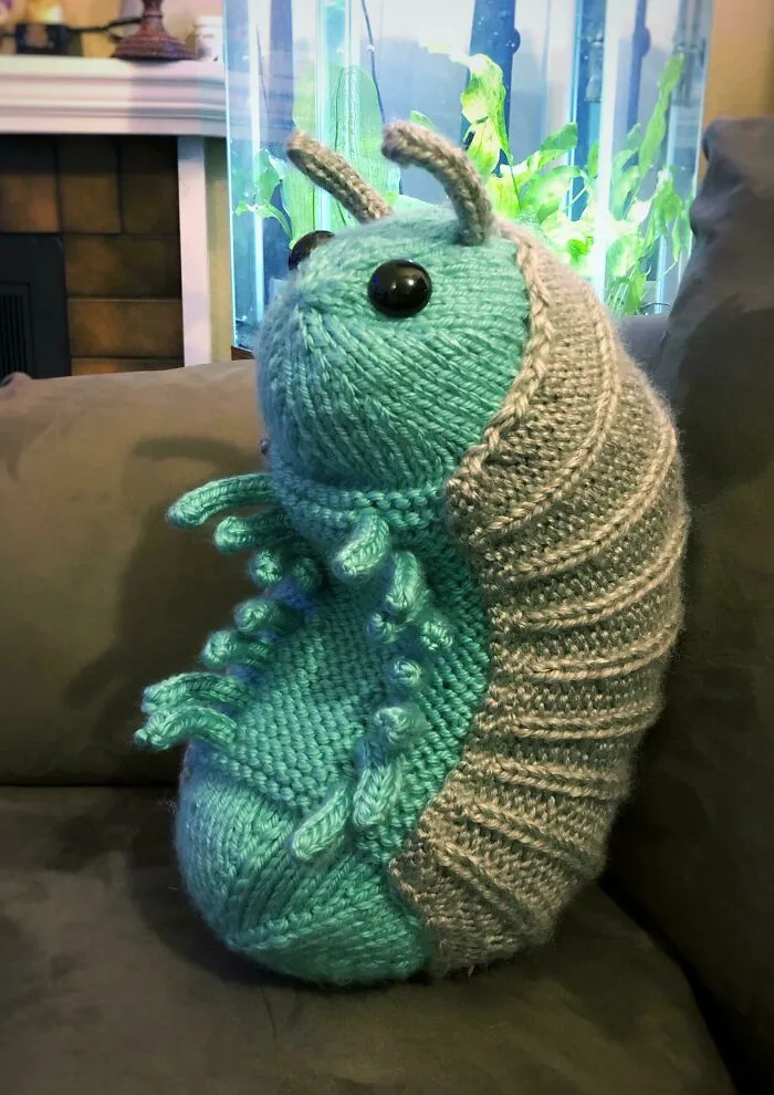 World’s Largest Roly-Poly Bug