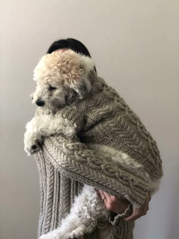My Dog And I Now Have Matching Sweaters