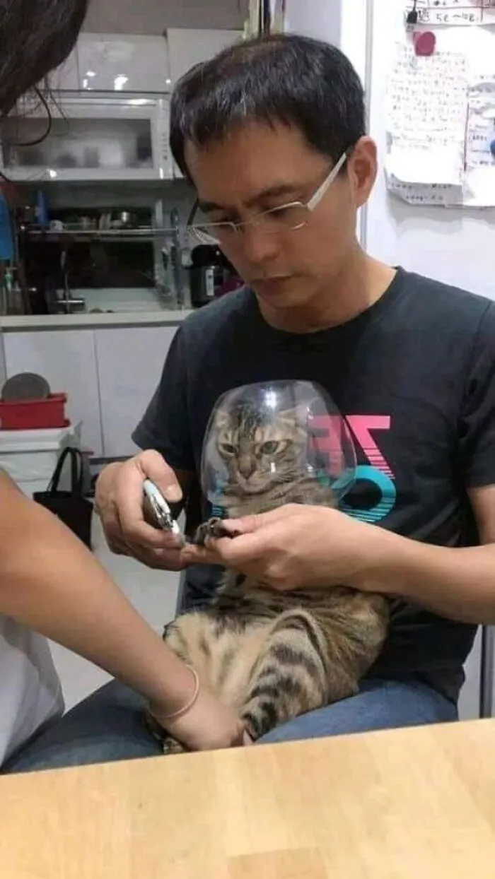 If You Bite Me In The Face, You Get The Bowl!
