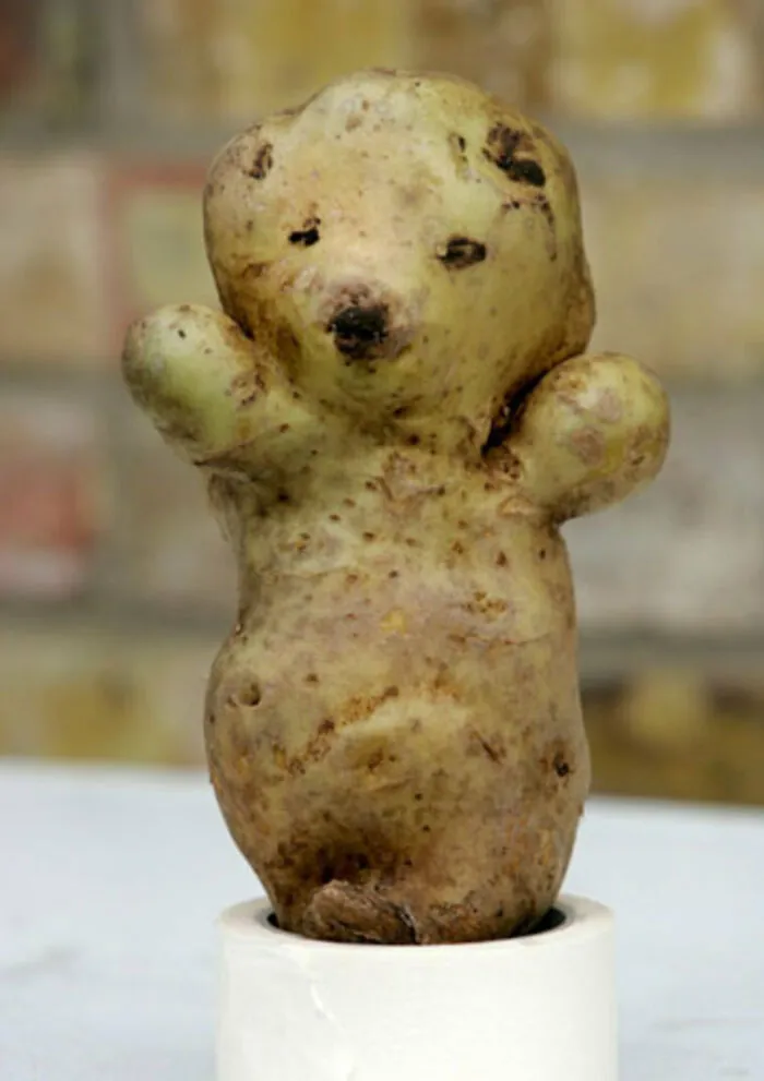 Patata osito