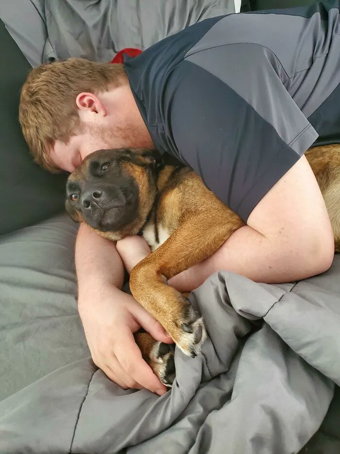 Acabo de adoptar una perra y mi novio ha venido a conocerla. Ya la llama "nuestra" perra