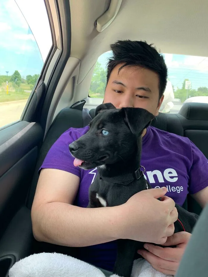 After Wanting A Dog For My Whole Life, I Finally Adopted One! Meet Pepero!