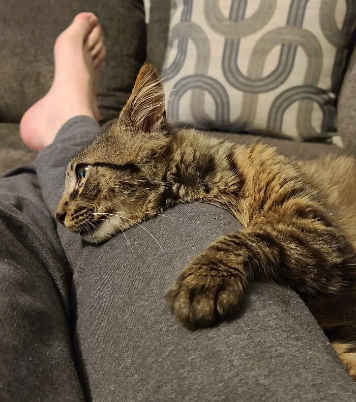 Adopted Little Auron 2 Days Ago