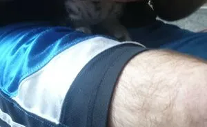 50 Adorable Pics Of These Pets That Found A Loving Home (June Edition)