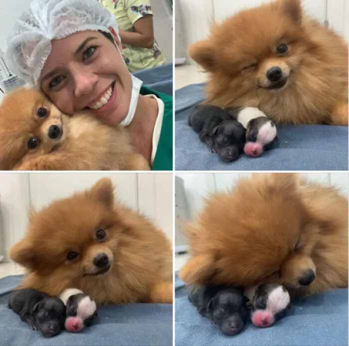 The Proudest Mom I've Ever Seen