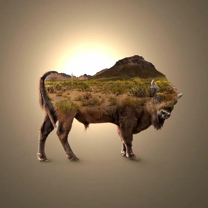 100 Photo Manipulations Of Animals Photoshopped Into The Most Random Things By Les Creatonautes 
