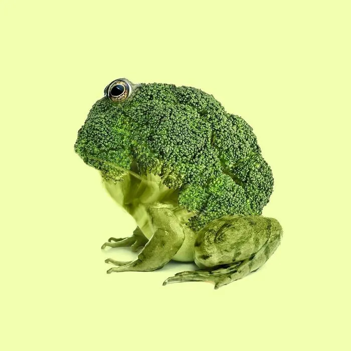 100 Photo Manipulations Of Animals Photoshopped Into The Most Random Things By Les Creatonautes 