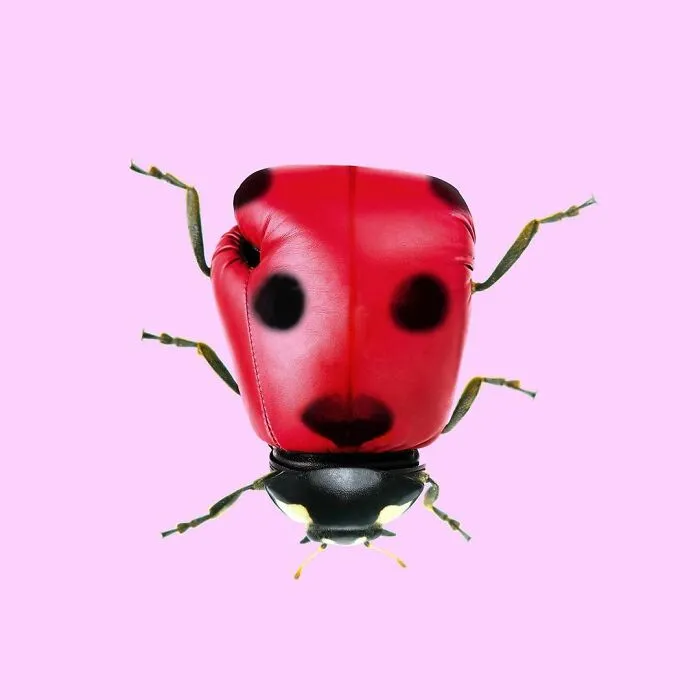 100 Photo Manipulations Of Animals Photoshopped Into The Most Random Things By Les Creatonautes 