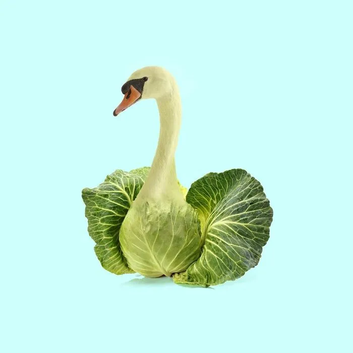 100 Photo Manipulations Of Animals Photoshopped Into The Most Random Things By Les Creatonautes 