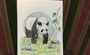 Hey Pandas, Draw A Cute Panda (Closed)