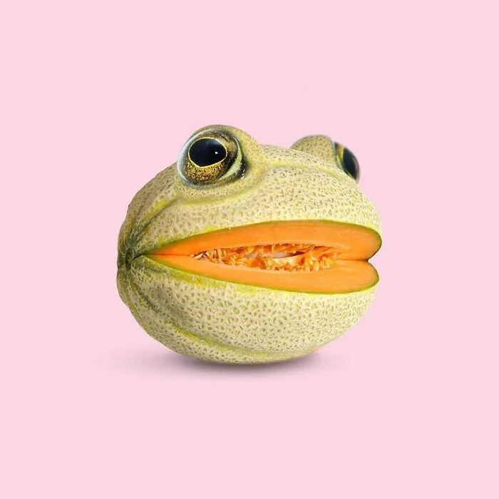 100 Photo Manipulations Of Animals Photoshopped Into The Most Random Things By Les Creatonautes 