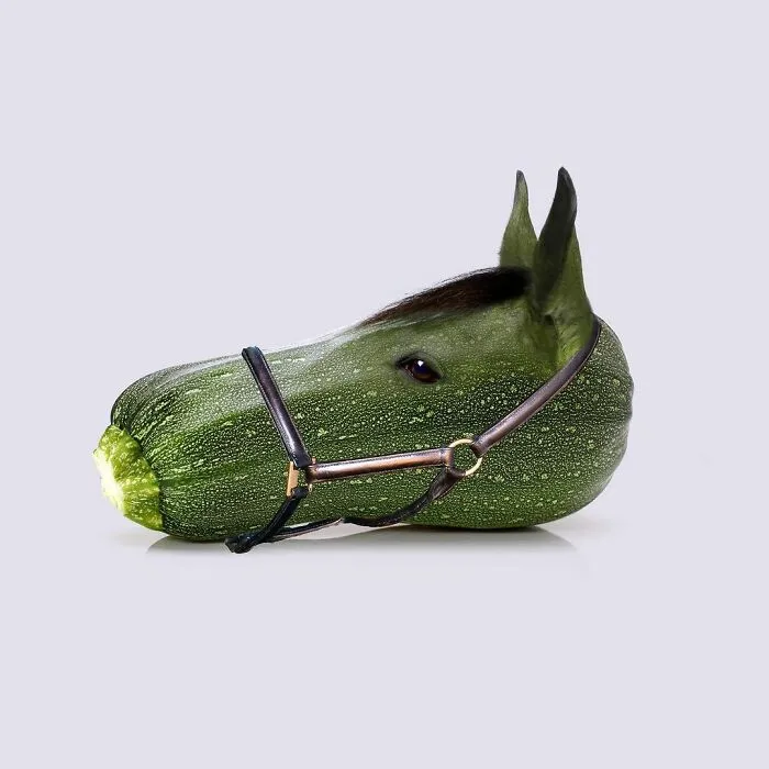100 Photo Manipulations Of Animals Photoshopped Into The Most Random Things By Les Creatonautes 