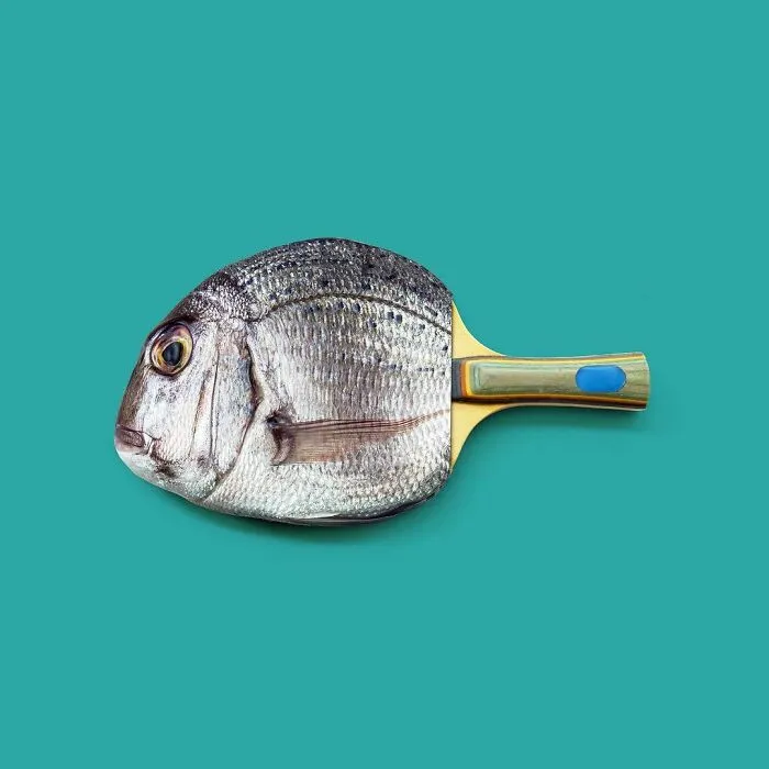 100 Photo Manipulations Of Animals Photoshopped Into The Most Random Things By Les Creatonautes 