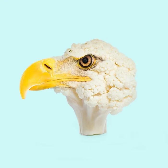 100 Photo Manipulations Of Animals Photoshopped Into The Most Random Things By Les Creatonautes 