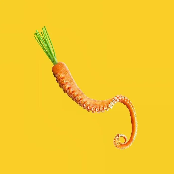 100 Photo Manipulations Of Animals Photoshopped Into The Most Random Things By Les Creatonautes 