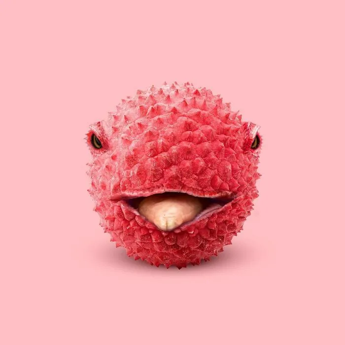 100 Photo Manipulations Of Animals Photoshopped Into The Most Random Things By Les Creatonautes 