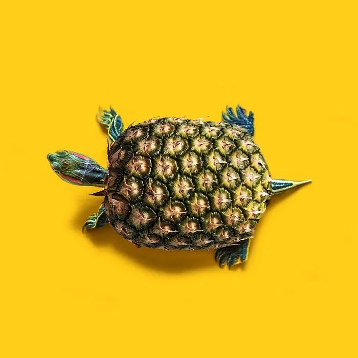 100 Photo Manipulations Of Animals Photoshopped Into The Most Random Things By Les Creatonautes 