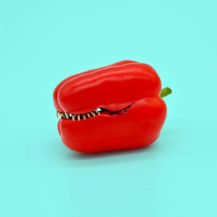 100 Photo Manipulations Of Animals Photoshopped Into The Most Random Things By Les Creatonautes 