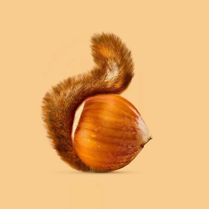 100 Photo Manipulations Of Animals Photoshopped Into The Most Random Things By Les Creatonautes 