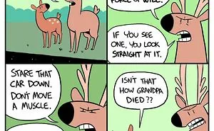 30 Funny Comics About Animals And Their Relatable Everyday Struggles