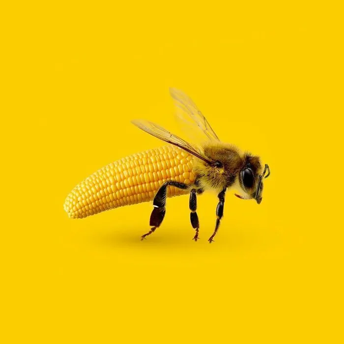 100 Photo Manipulations Of Animals Photoshopped Into The Most Random Things By Les Creatonautes 