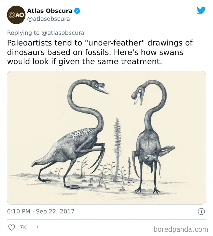 Thanks , I Hate Swan When Given The Same Treatment As Dinosaurs Are Given By Paleoartists