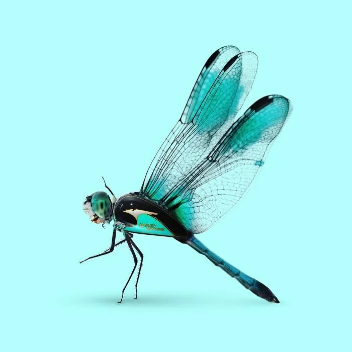 100 Photo Manipulations Of Animals Photoshopped Into The Most Random Things By Les Creatonautes 