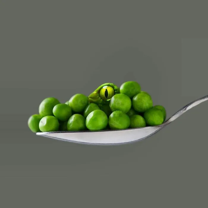 100 Photo Manipulations Of Animals Photoshopped Into The Most Random Things By Les Creatonautes 
