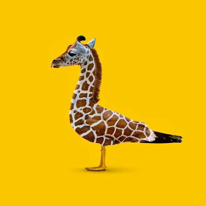 100 Photo Manipulations Of Animals Photoshopped Into The Most Random Things By Les Creatonautes 