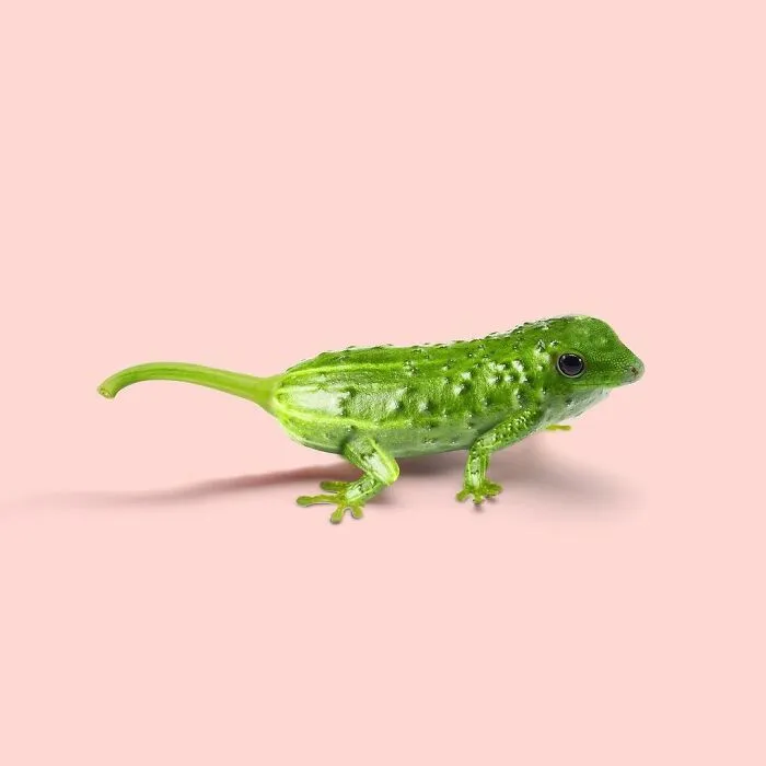 100 Photo Manipulations Of Animals Photoshopped Into The Most Random Things By Les Creatonautes 