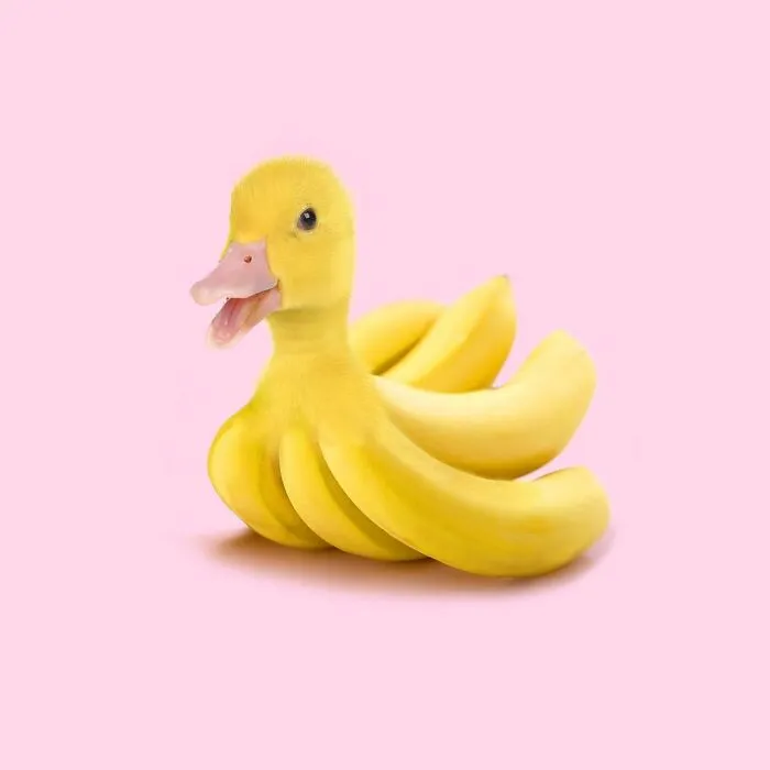 100 Photo Manipulations Of Animals Photoshopped Into The Most Random Things By Les Creatonautes 