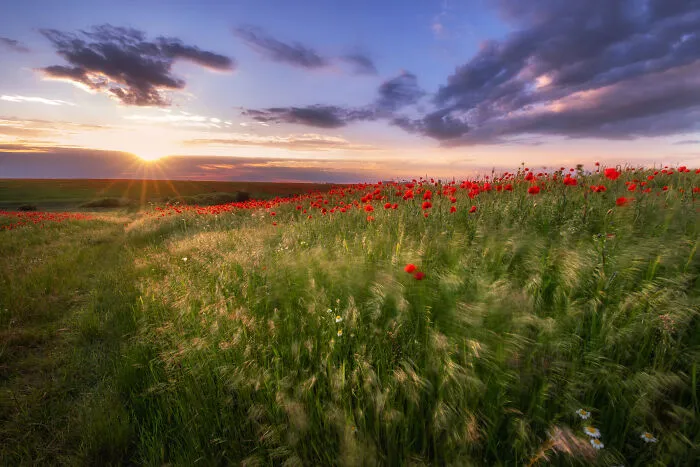 This Is How Spring Looks Like In Romania In My 21 Photos