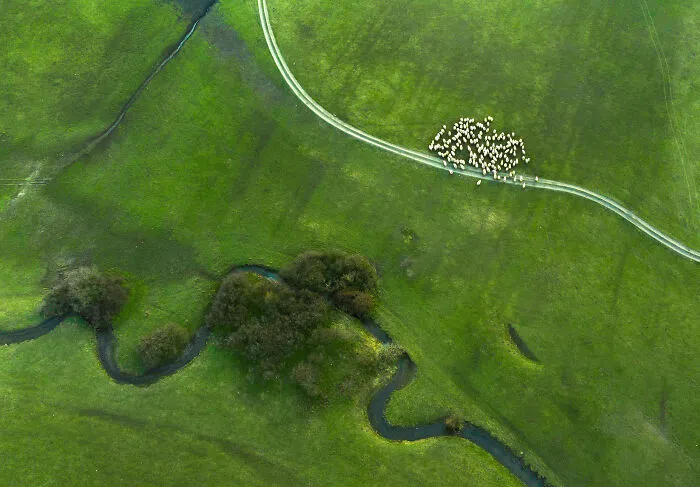 This Is How Spring Looks Like In Romania In My 21 Photos