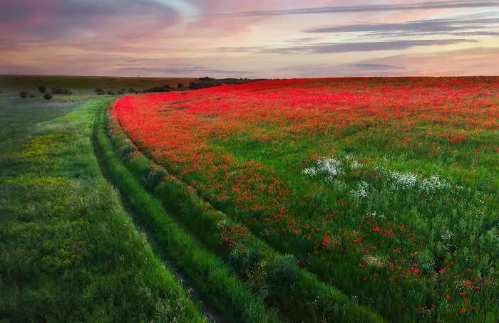 This Is How Spring Looks Like In Romania In My 21 Photos