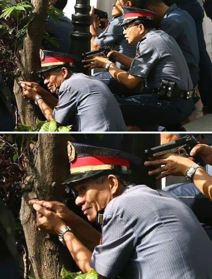 45 People Who Kept Their Cool In A Rather Unusual Situation