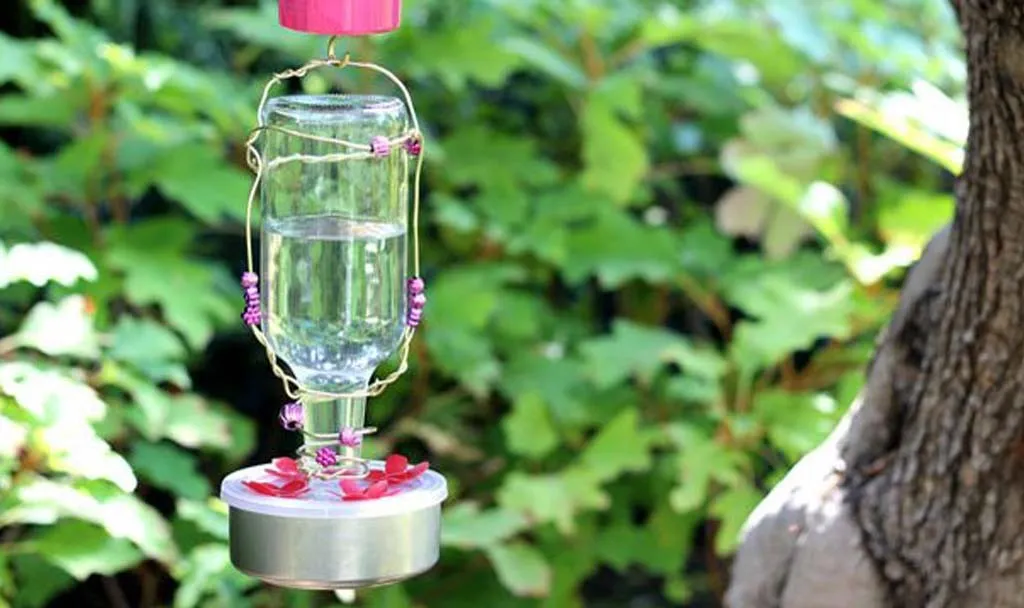 10 Homemade Bird Feeders