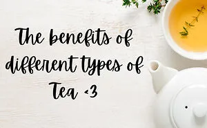 I Was Bored So Benefits Of Different Types Of Tea