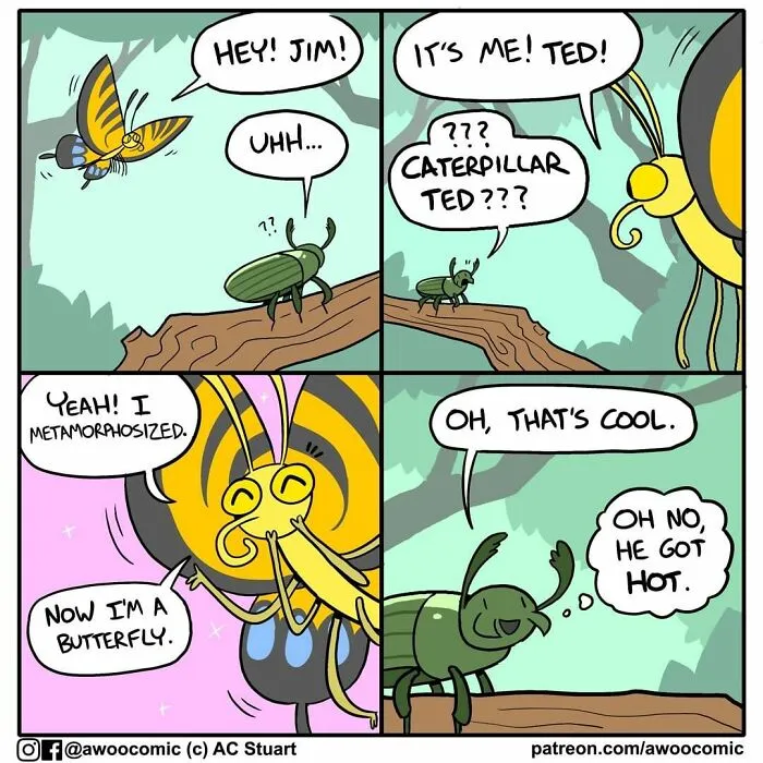 30 Funny Comics About Animals And Their Relatable Everyday Struggles