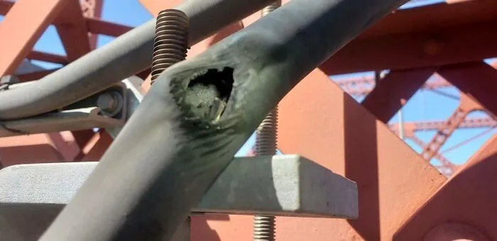 En caso de que te preguntes por qué estamos cancelando el servicio por el día, esto es lo que el calor le está haciendo a nuestros cables eléctricos