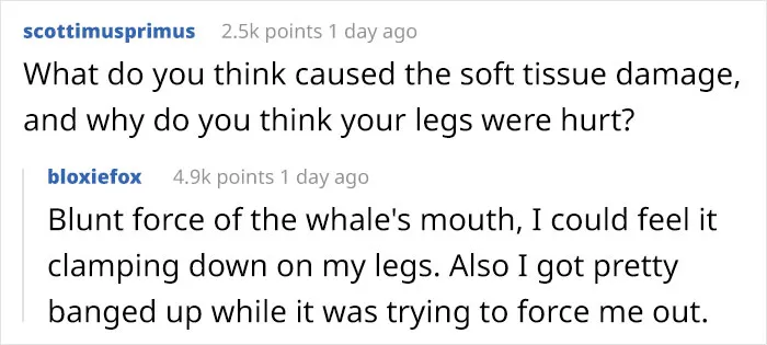 Here Are The 30 Best Answers To Questions That People Asked A Man Who Survived Being Trapped In A Humpback Whale’s Mouth